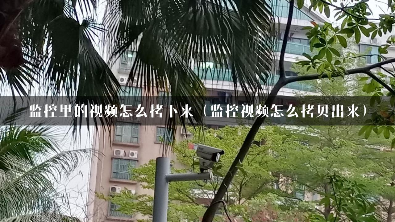 监控里的视频怎么拷下来（监控视频怎么拷贝出来）