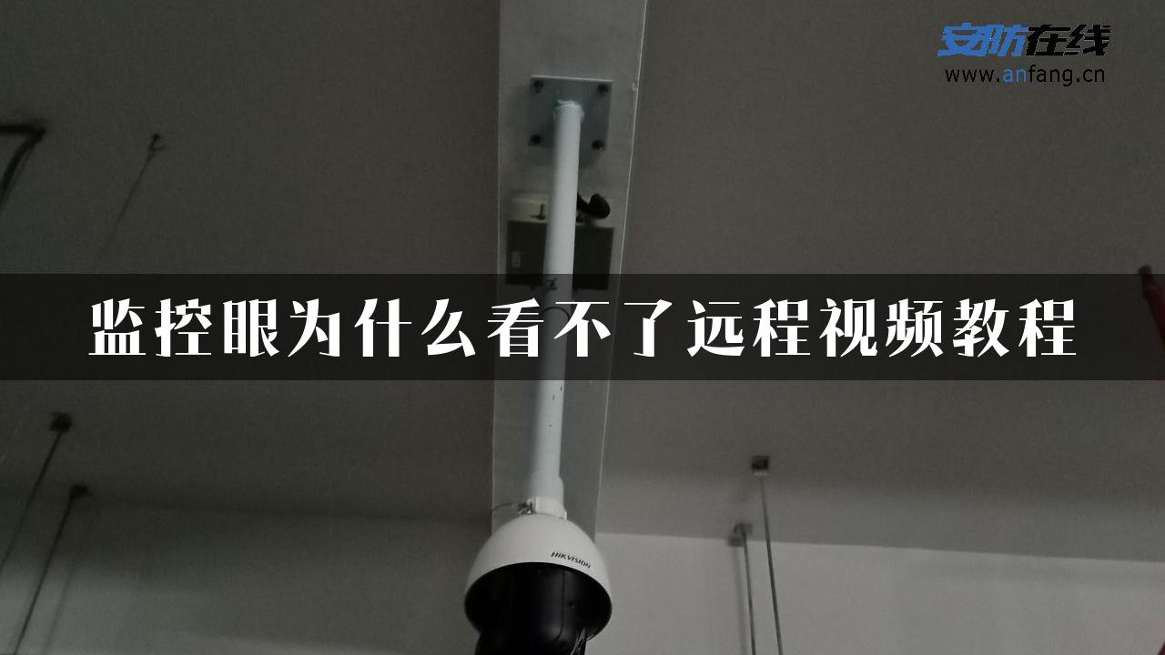 监控眼为什么看不了远程视频教程