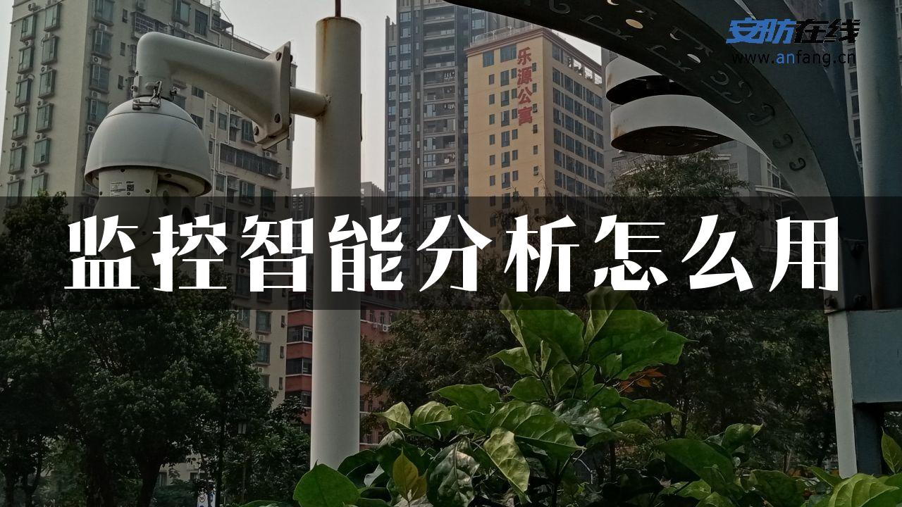 监控智能分析怎么用