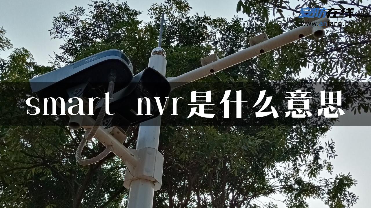 smart nvr是什么意思