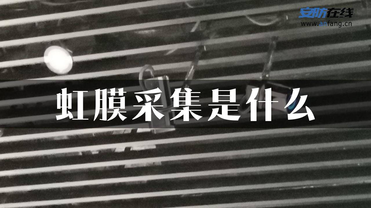 虹膜采集是什么