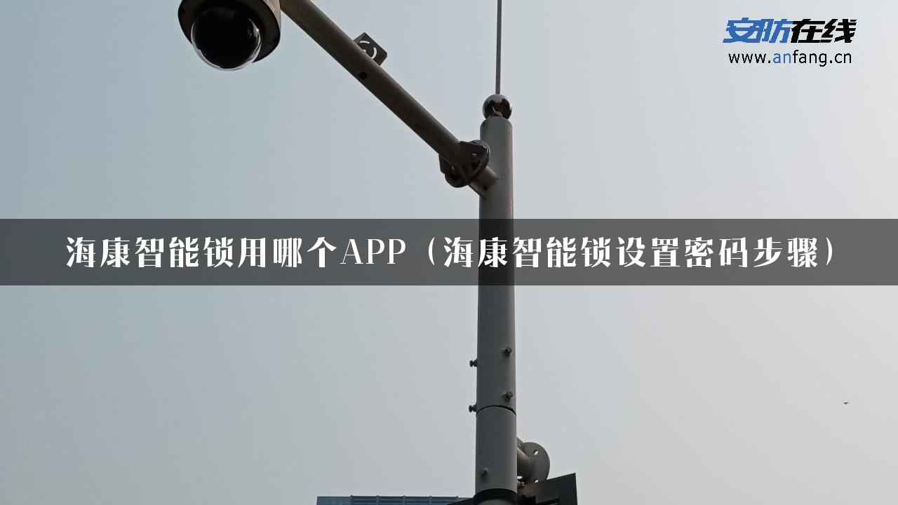 海康智能锁用哪个APP（海康智能锁设置密码步骤）