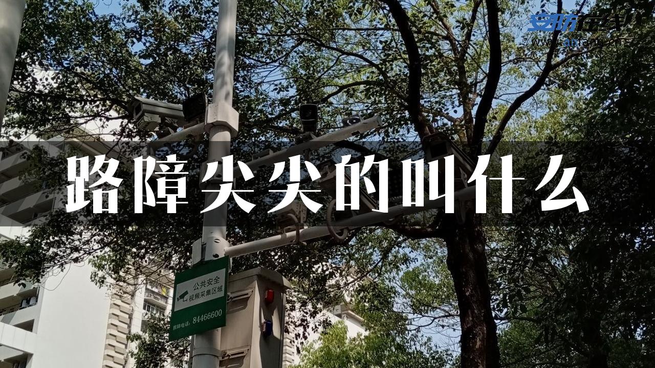 路障尖尖的叫什么