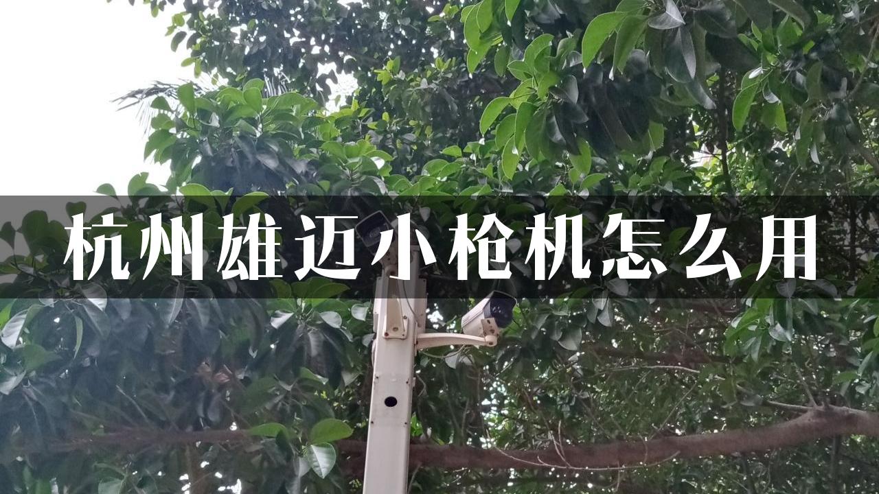 杭州雄迈小枪机怎么用