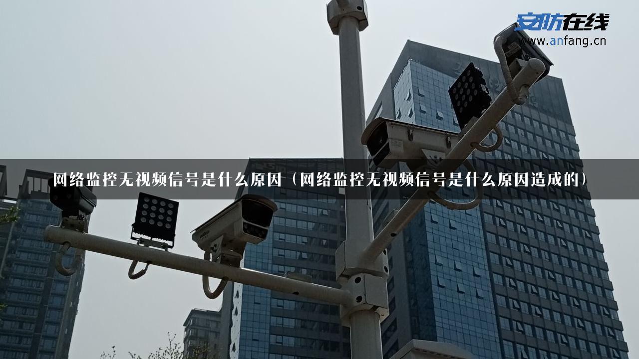 网络监控无视频信号是什么原因（网络监控无视频信号是什么原因造成的）