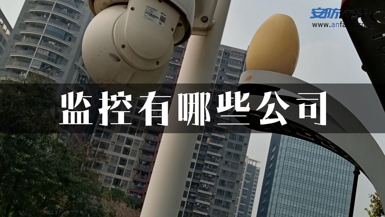 监控有哪些公司