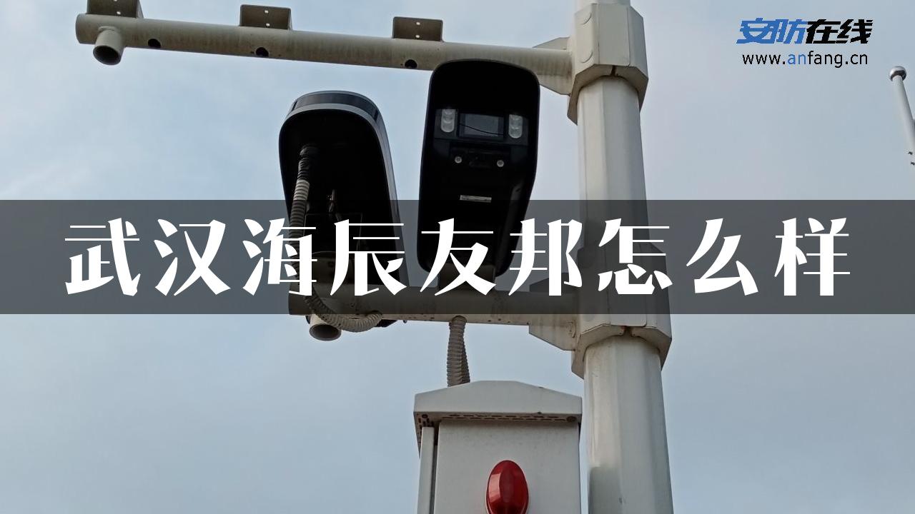 武汉海辰友邦怎么样