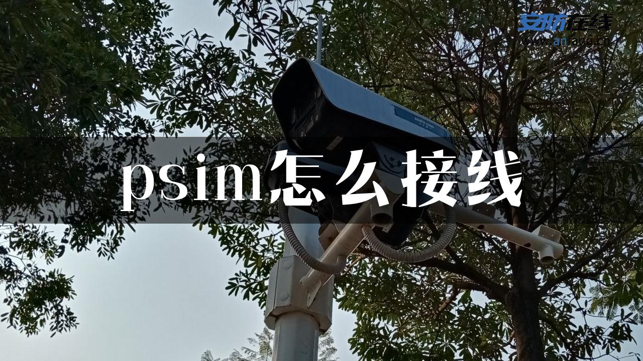 psim怎么接线