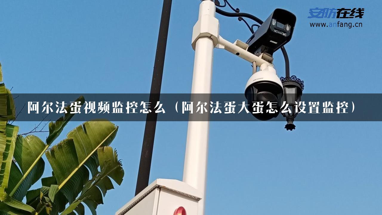 阿尔法蛋视频监控怎么（阿尔法蛋大蛋怎么设置监控）