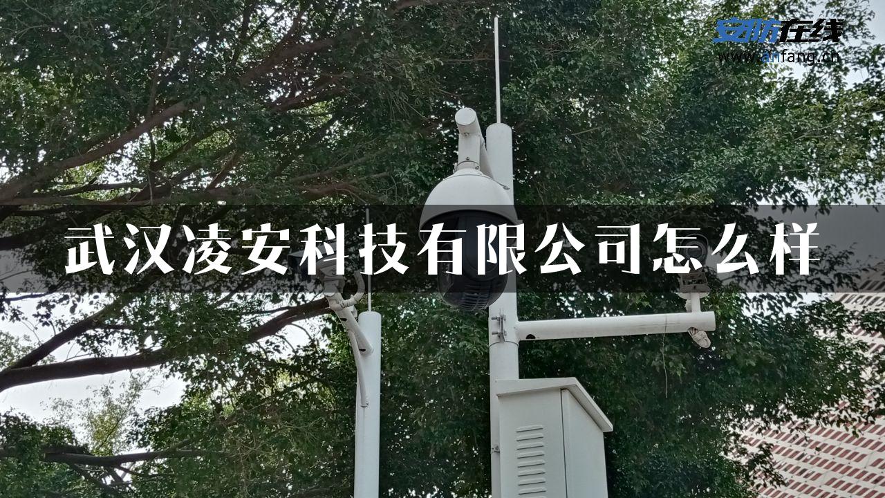 武汉凌安科技有限公司怎么样