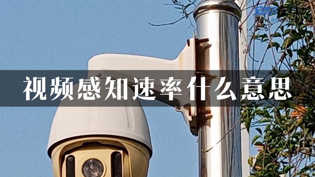 视频感知速率什么意思