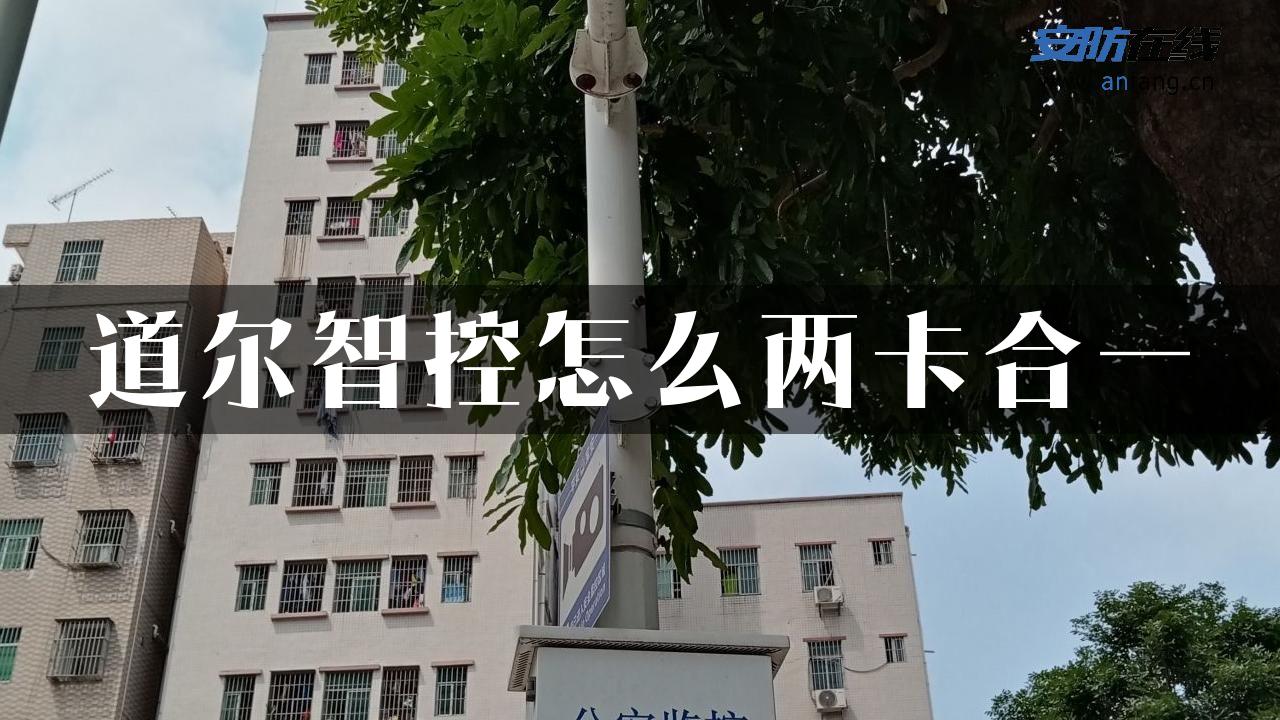 道尔智控怎么两卡合一