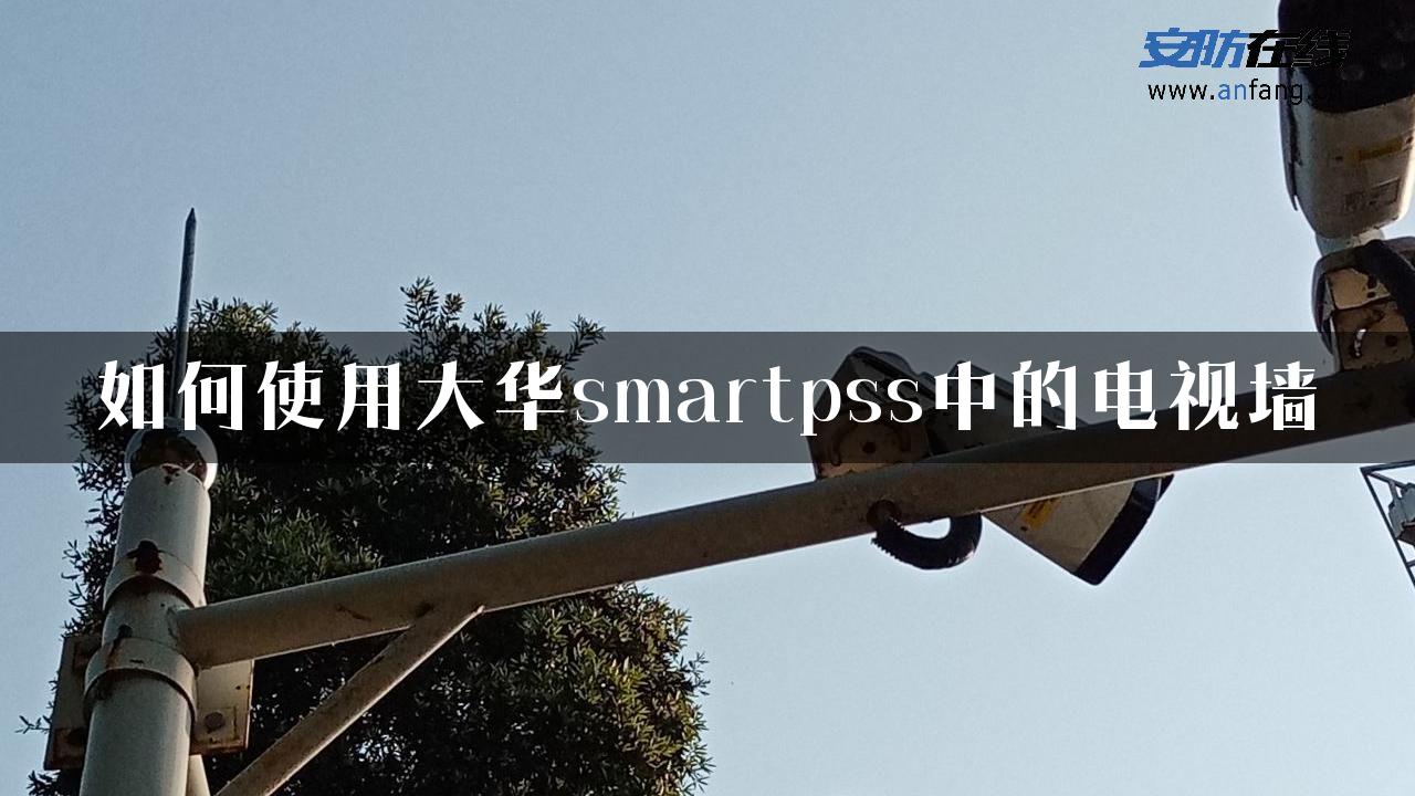 如何使用大华smartpss中的电视墙