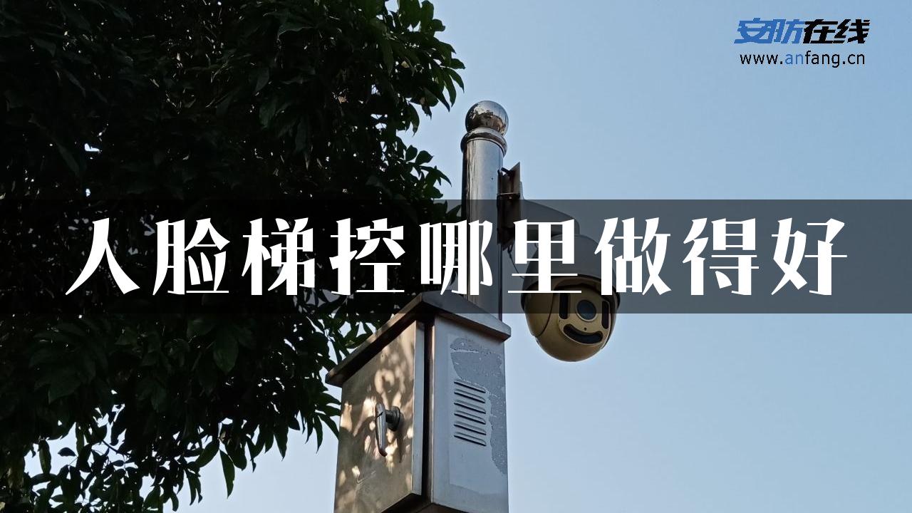 人脸梯控哪里做得好