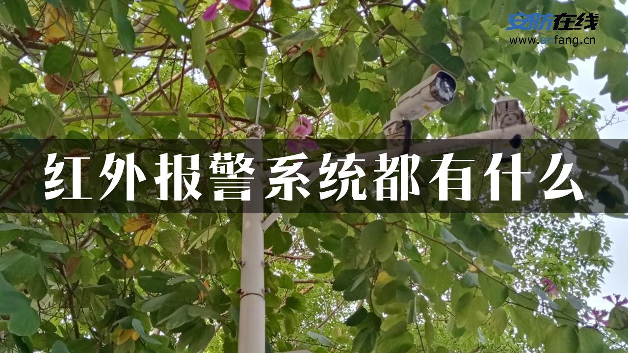 红外报警系统都有什么