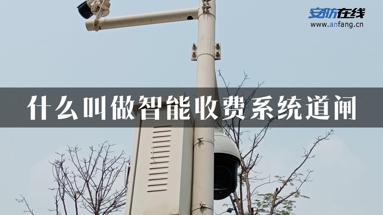 什么叫做智能收费系统道闸