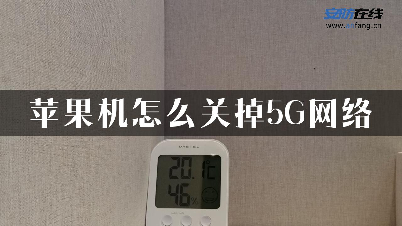 苹果机怎么关掉5G网络