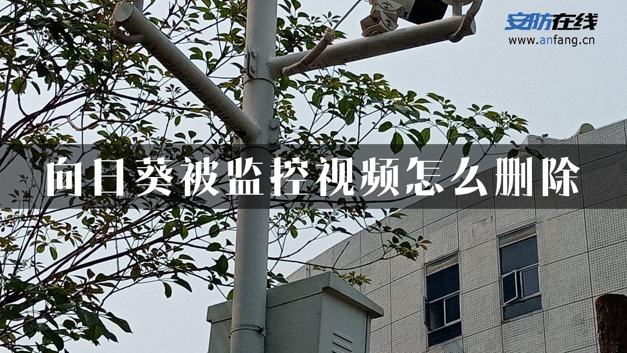 向日葵被监控视频怎么删除