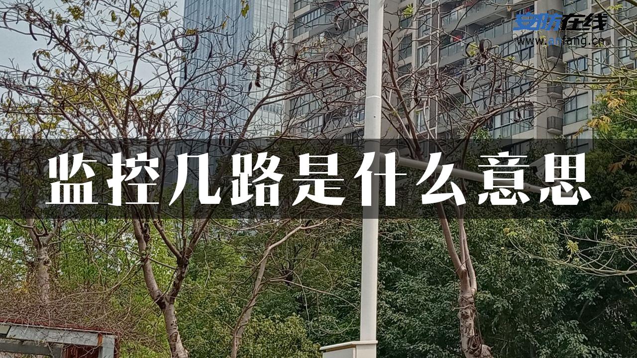 监控几路是什么意思