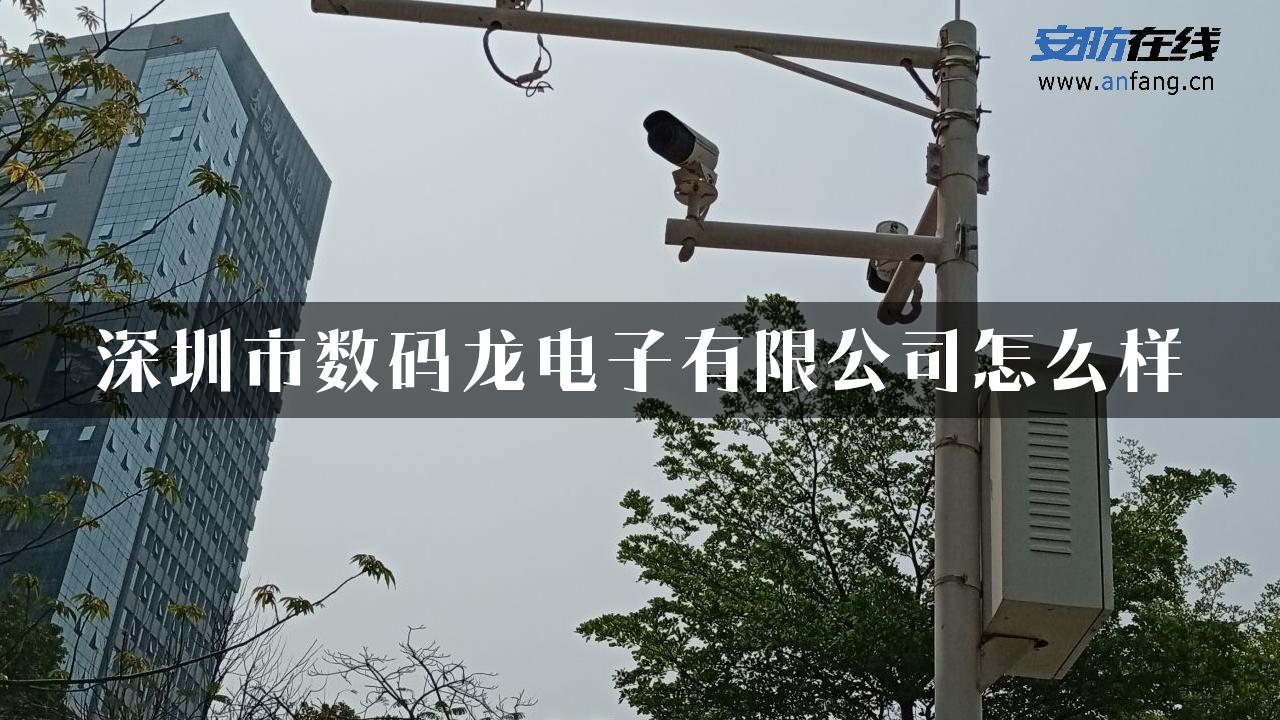 深圳市数码龙电子有限公司怎么样