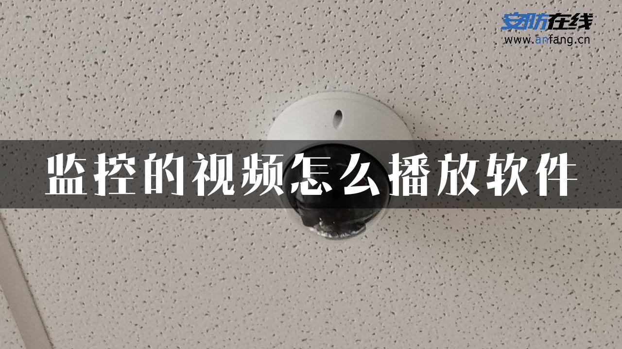 监控的视频怎么播放软件