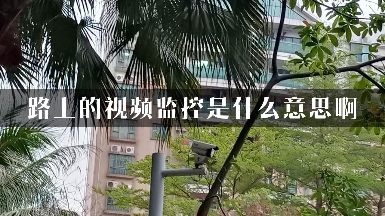 路上的视频监控是什么意思啊