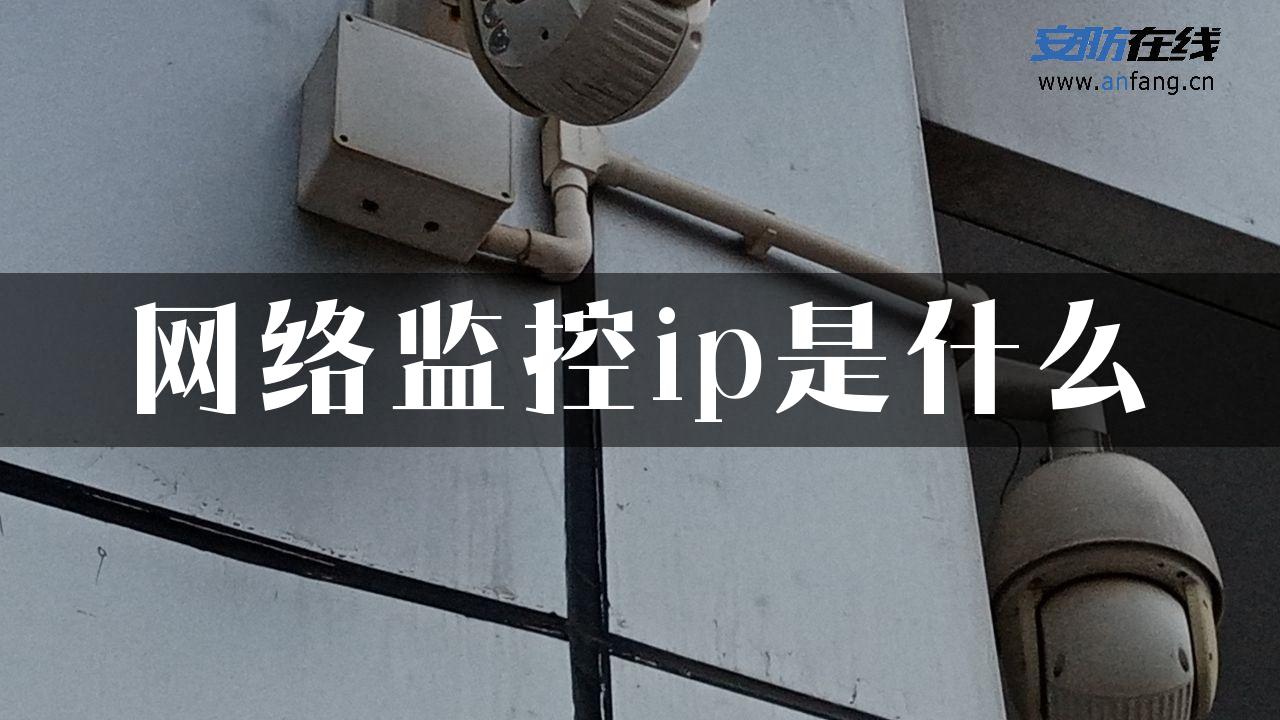 网络监控ip是什么