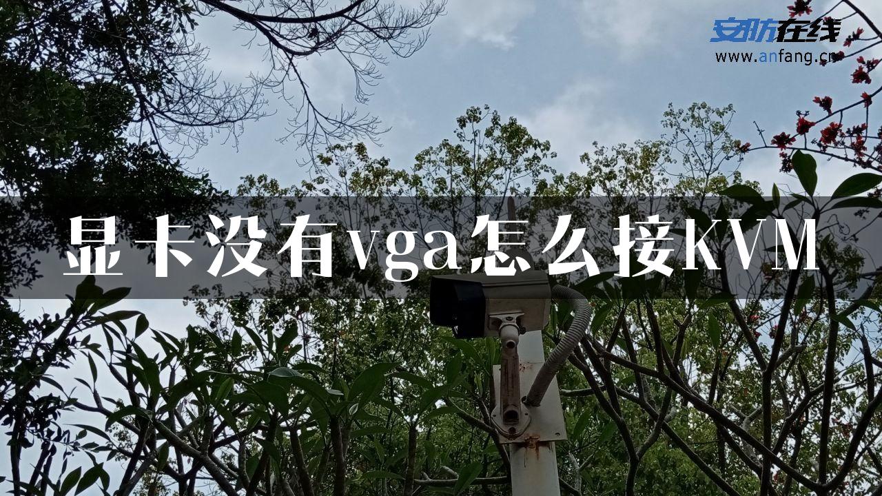 显卡没有vga怎么接KVM