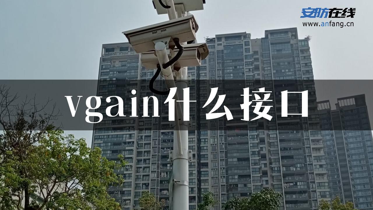 vgain什么接口