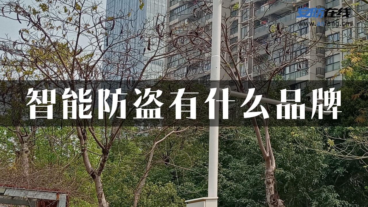 智能防盗有什么品牌