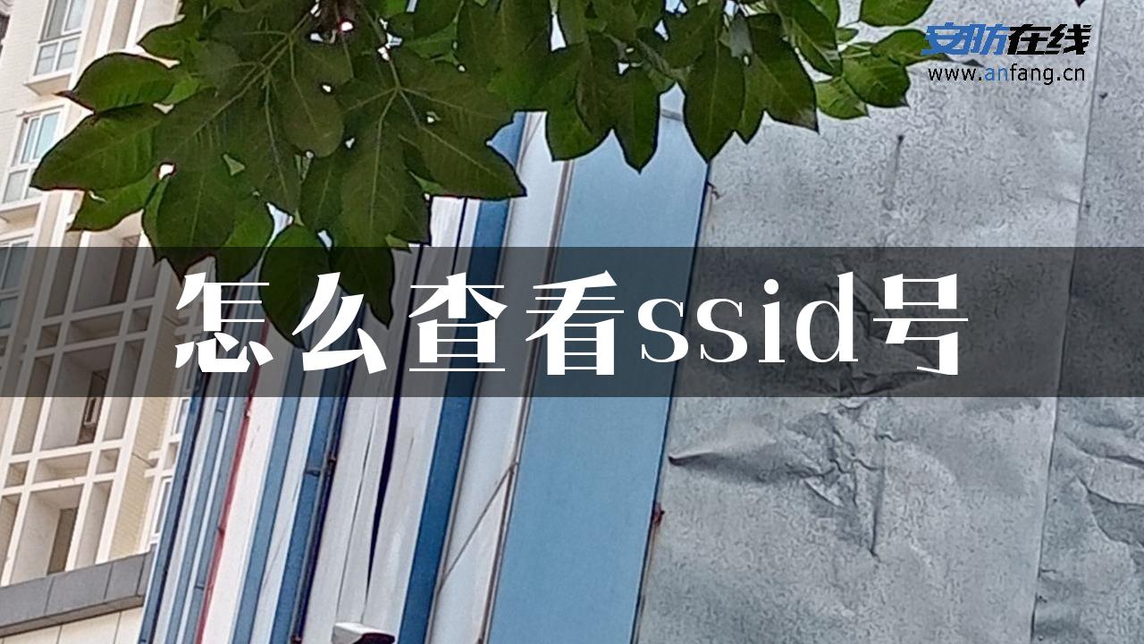 怎么查看ssid号