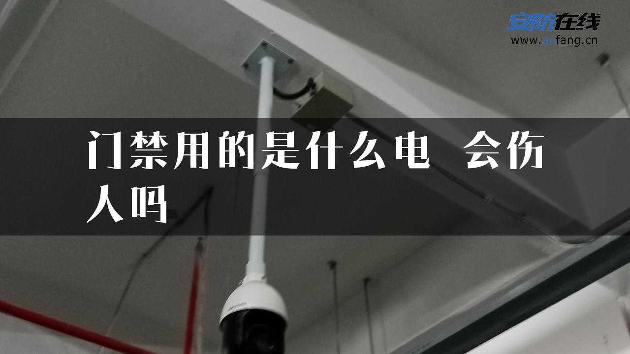 门禁用的是什么电 会伤人吗