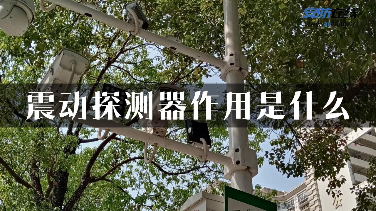 震动探测器作用是什么