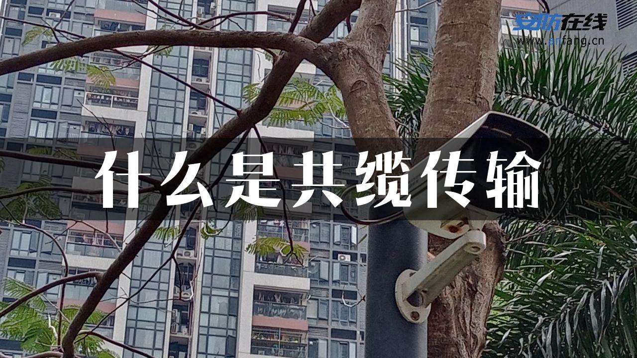 什么是共缆传输