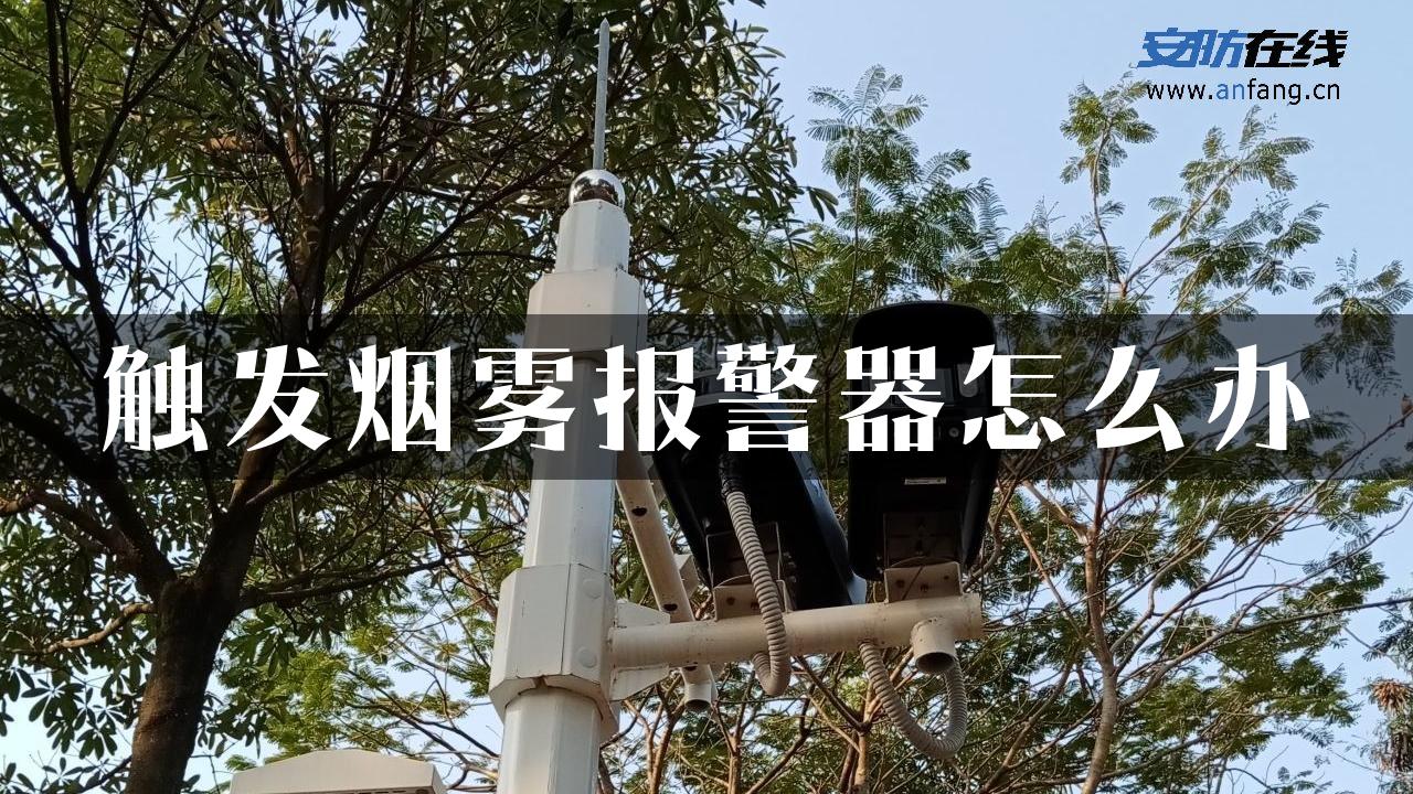 触发烟雾报警器怎么办