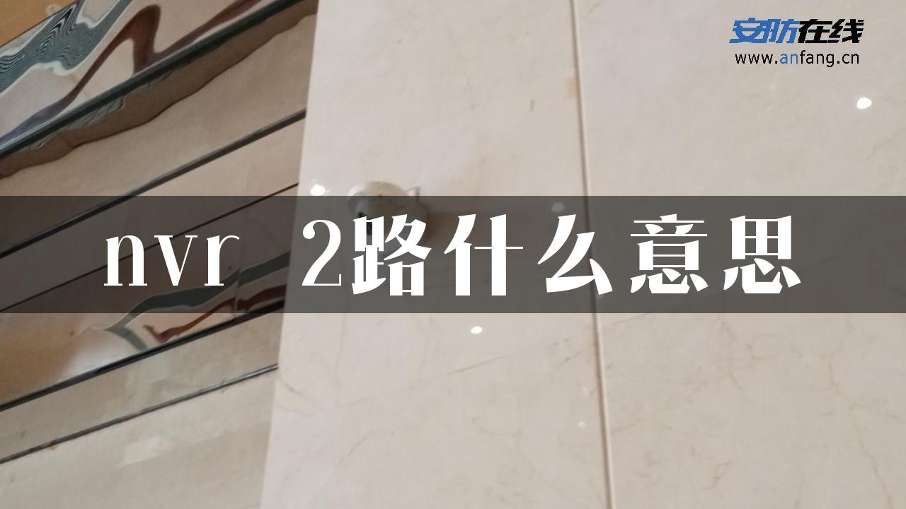 nvr 2路什么意思