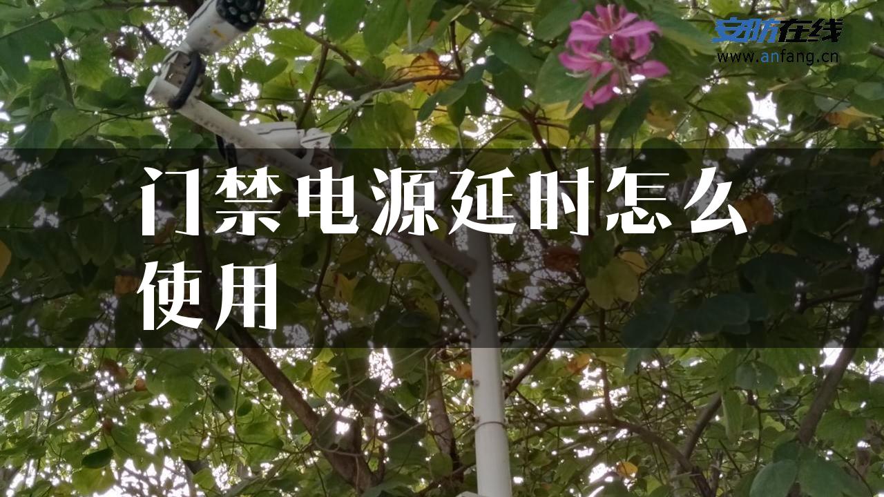 门禁电源延时怎么使用