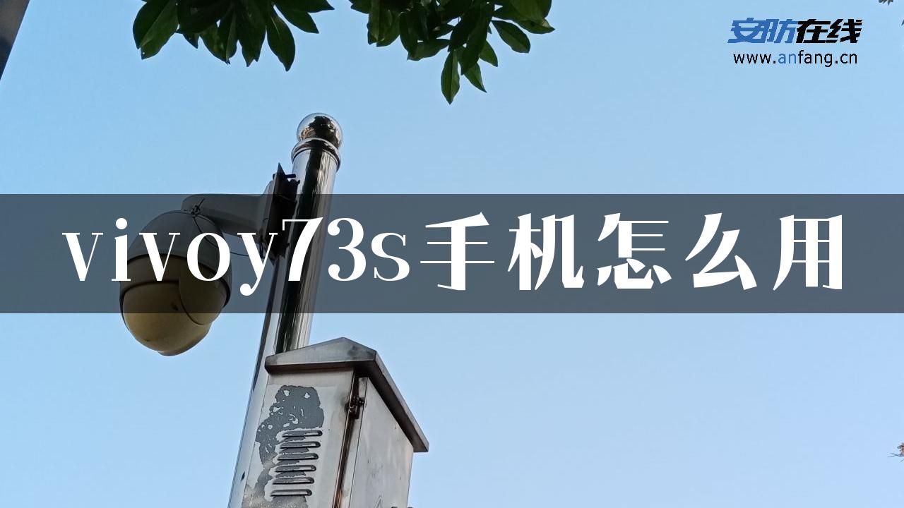 vivoy73s手机怎么用