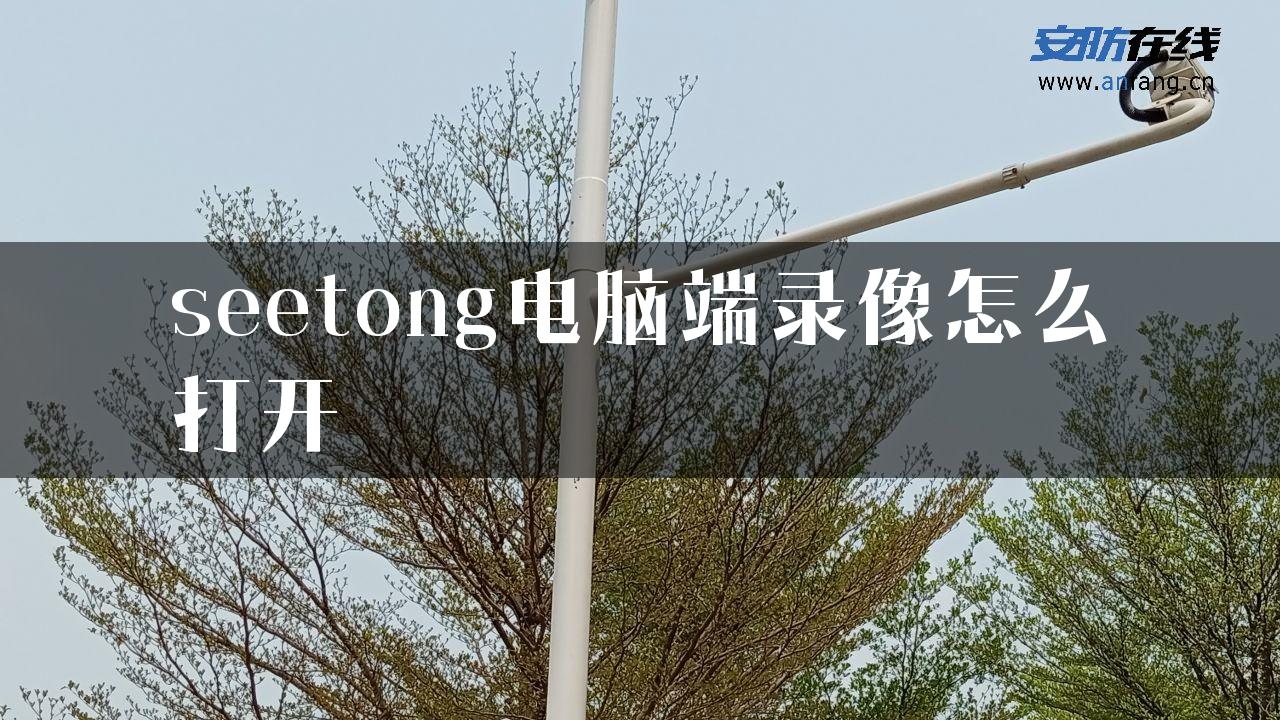 seetong电脑端录像怎么打开