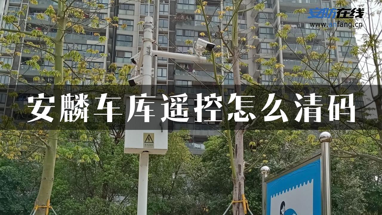 安麟车库遥控怎么清码