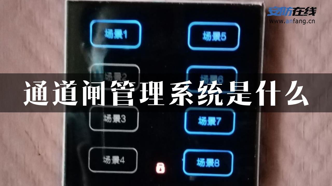 通道闸管理系统是什么