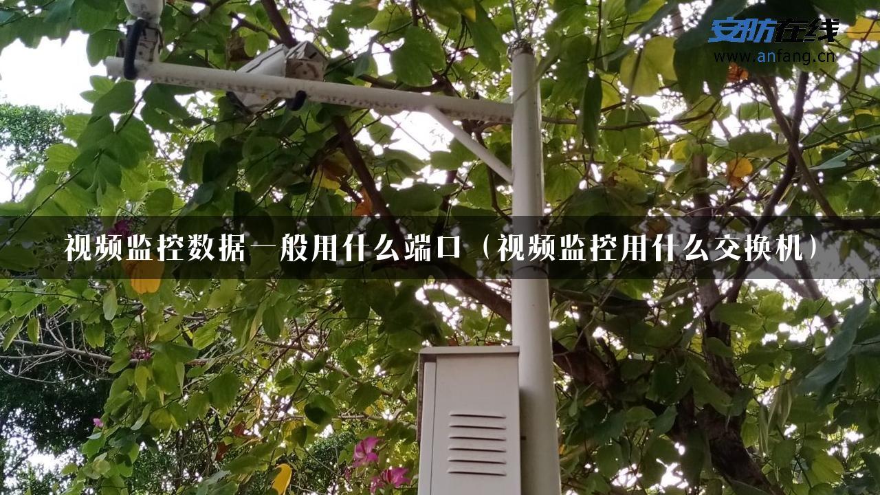 视频监控数据一般用什么端口（视频监控用什么交换机）