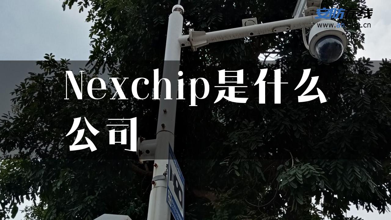 Nexchip是什么公司