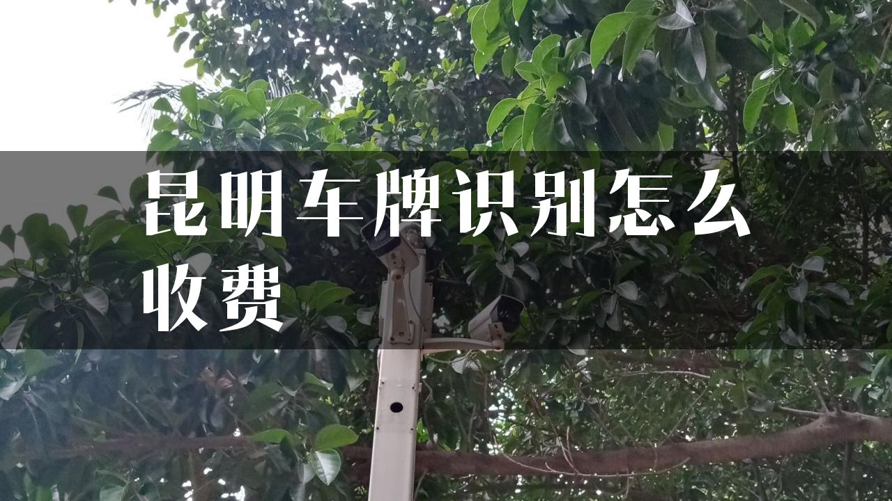 昆明车牌识别怎么收费