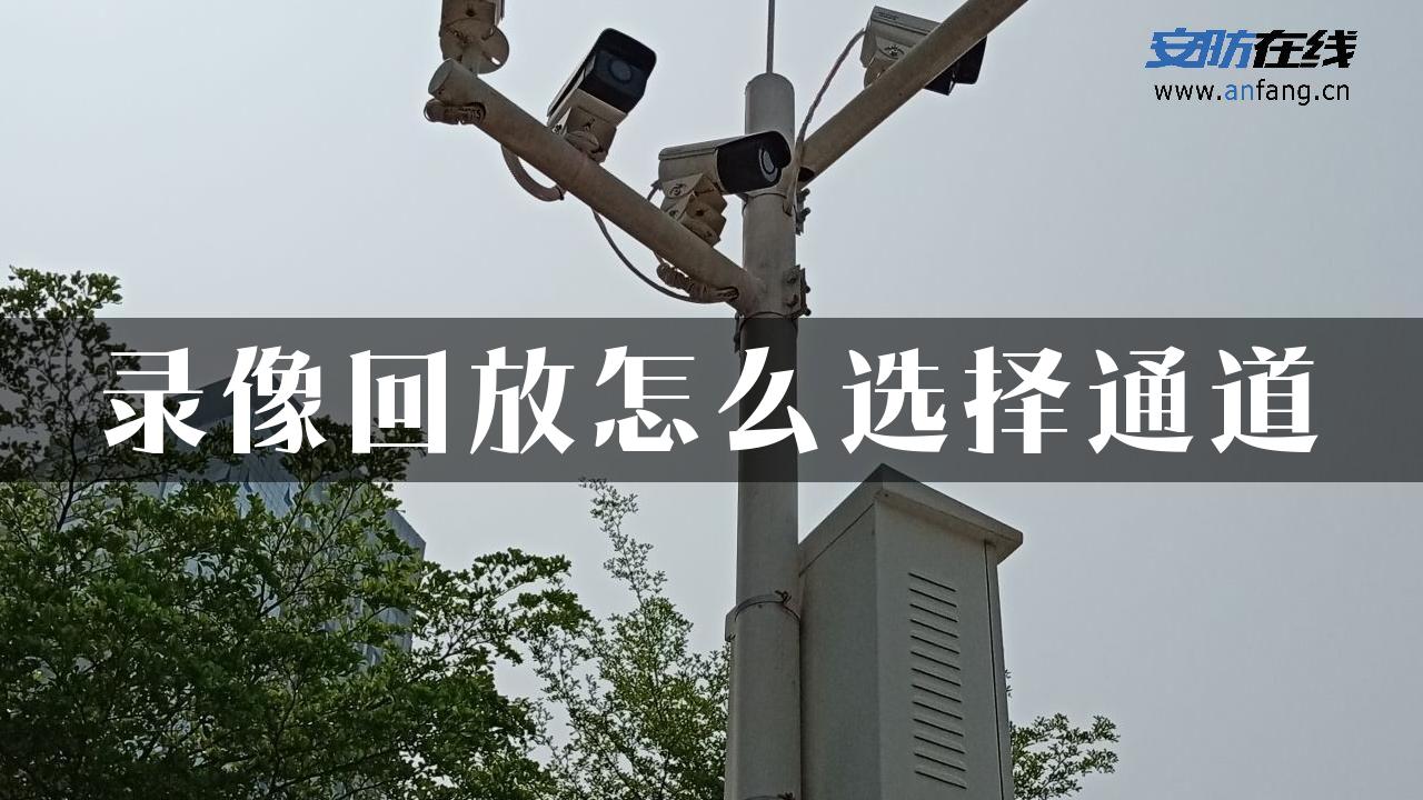 录像回放怎么选择通道