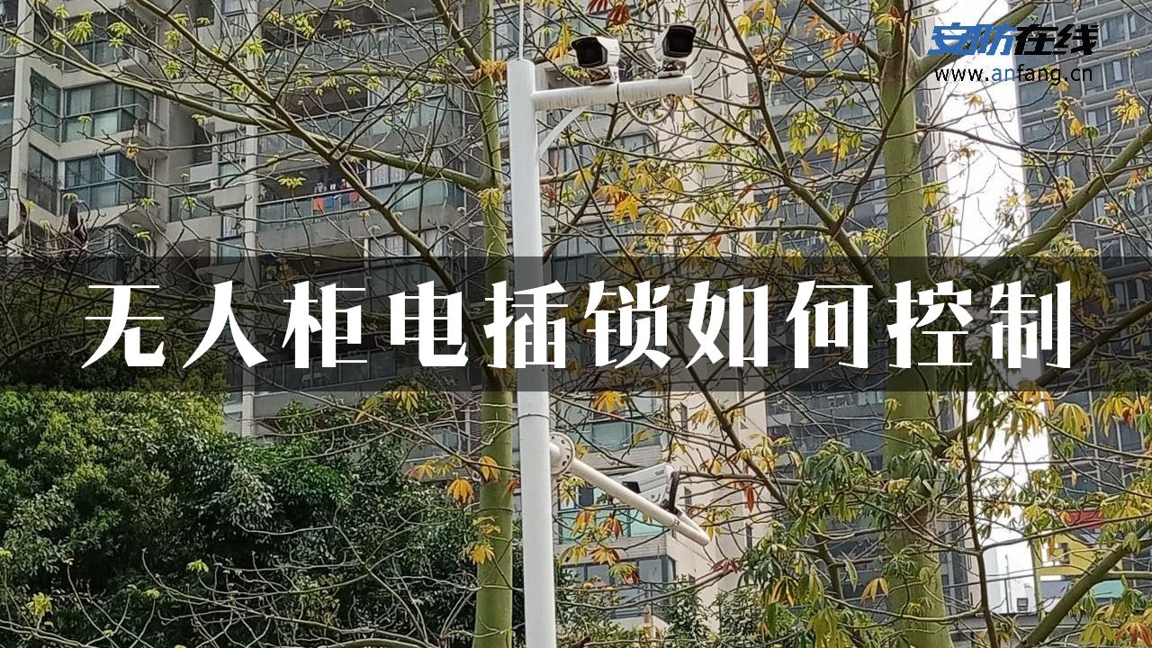 无人柜电插锁如何控制