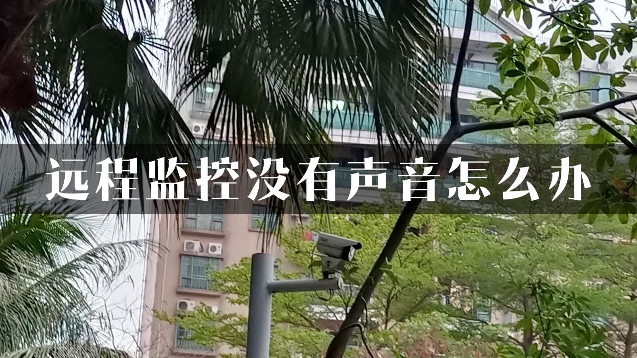 远程监控没有声音怎么办