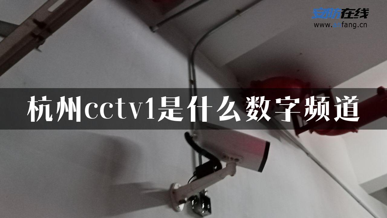 杭州cctv1是什么数字频道