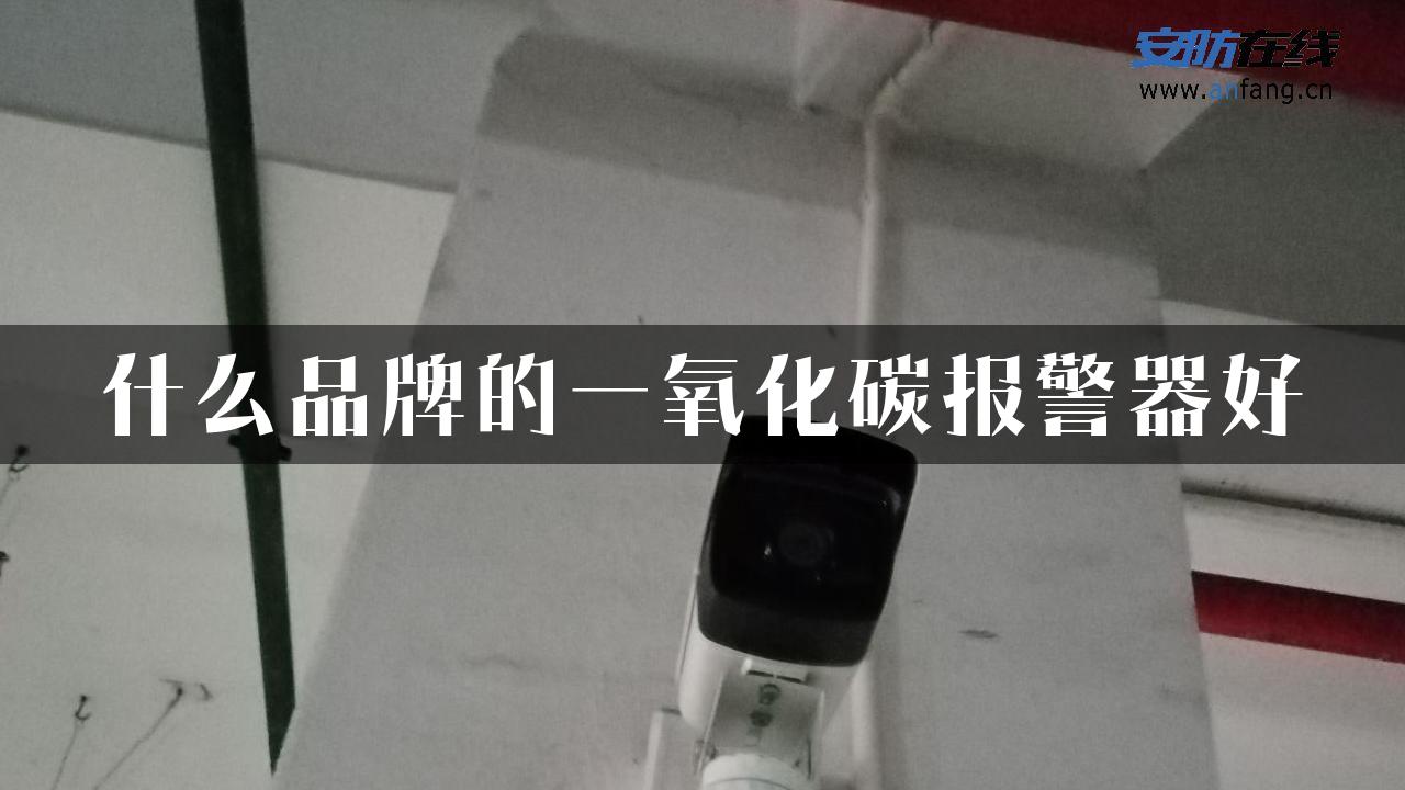 什么品牌的一氧化碳报警器好