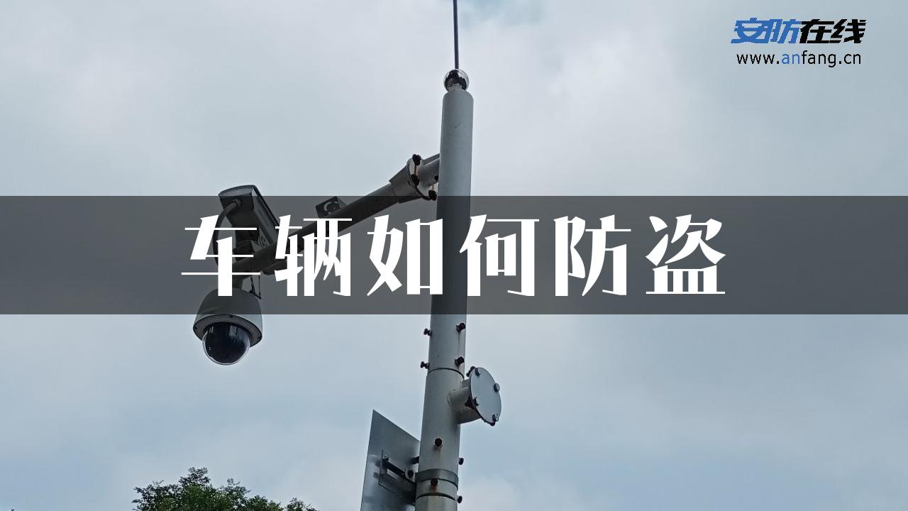 车辆如何防盗